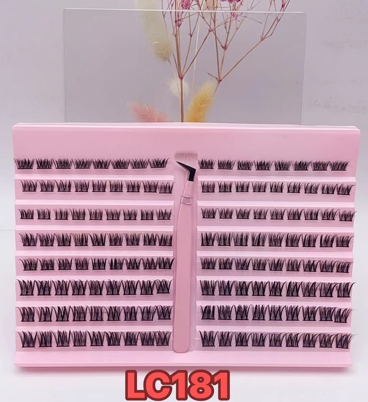 LC81