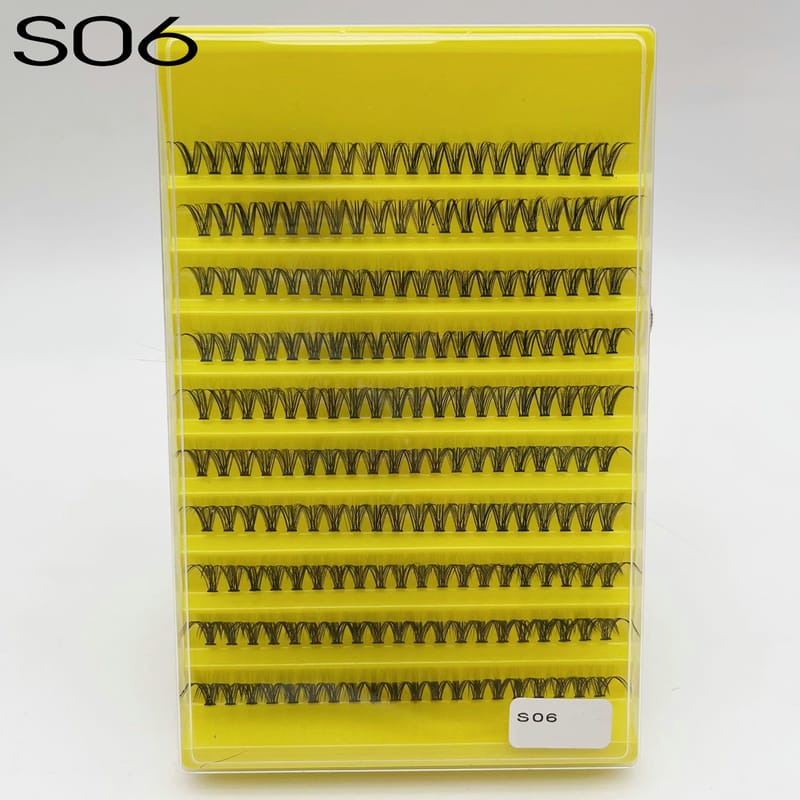 S06