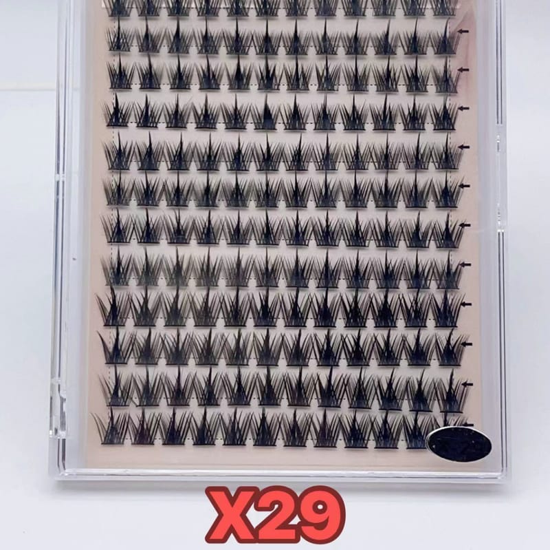 X29
