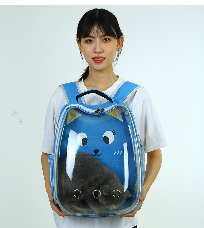 Factory Customized Cat Backpack Designer Luxury Dog Travel Bag Space Capsule Bubble Transparent Port