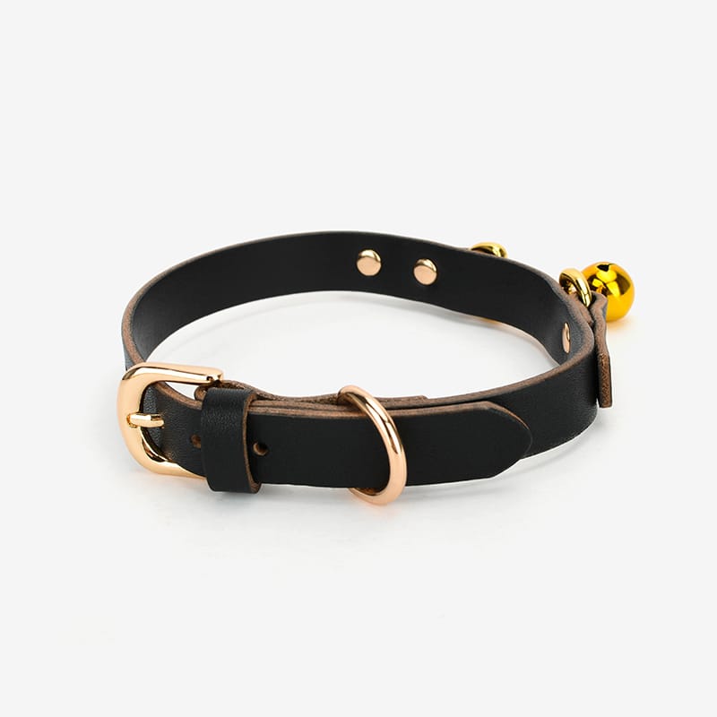 Royal - Collar - Daluse