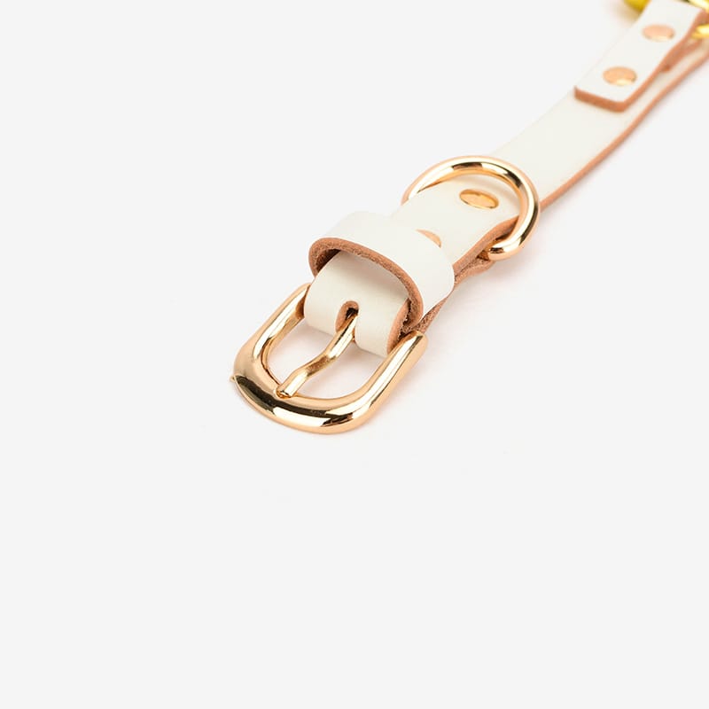 Royal - Collar - Daluse