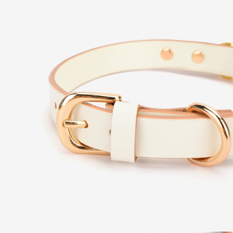 Royal - Collar - Daluse