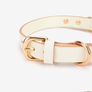 Royal - Collar - Daluse