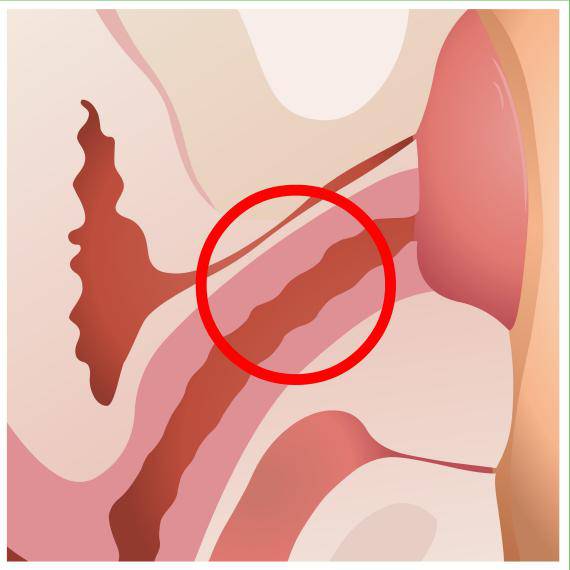 Where is the female G-spot? What is a G-spot orgasm?