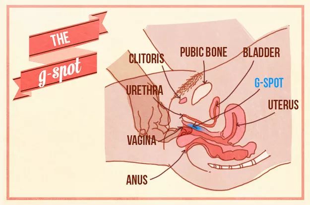 Where is the female G-spot? What is a G-spot orgasm?