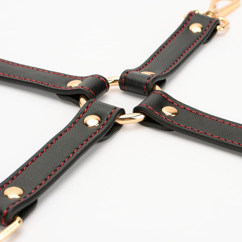 Daluse [Merida] Black Leather Red Line Twelve-piece Set