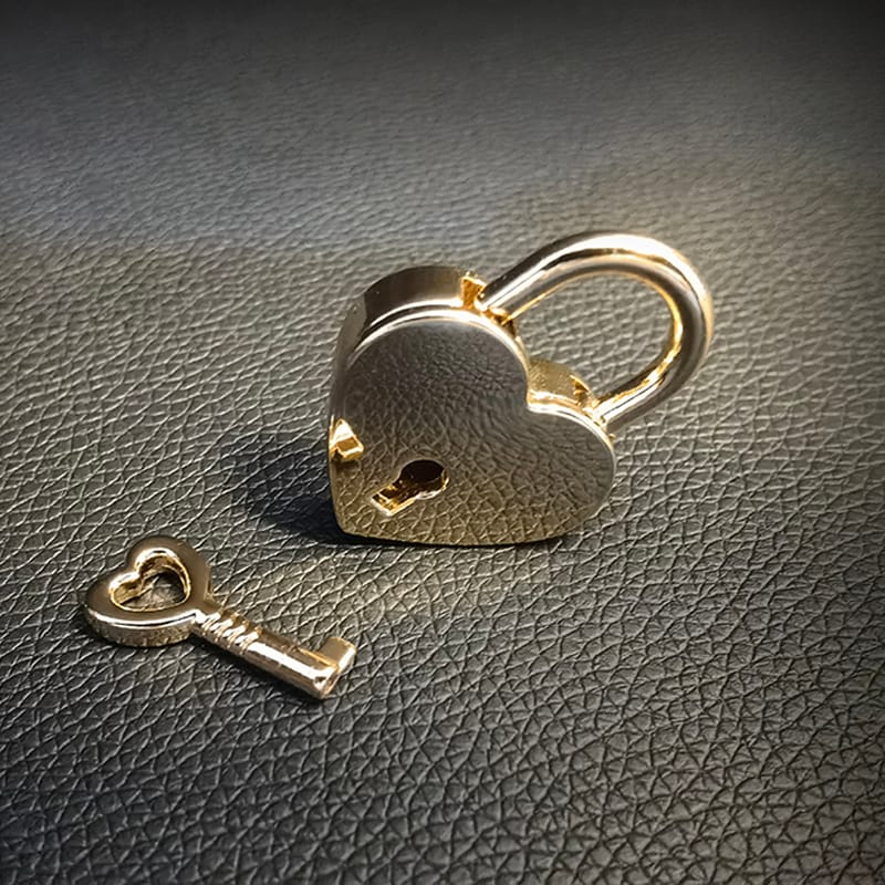 Daluse Gold Silver Heart Lock