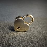 Daluse Gold Silver Heart Lock