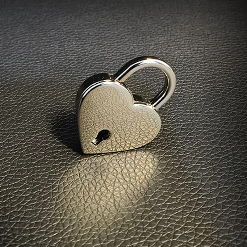 Daluse Gold Silver Heart Lock