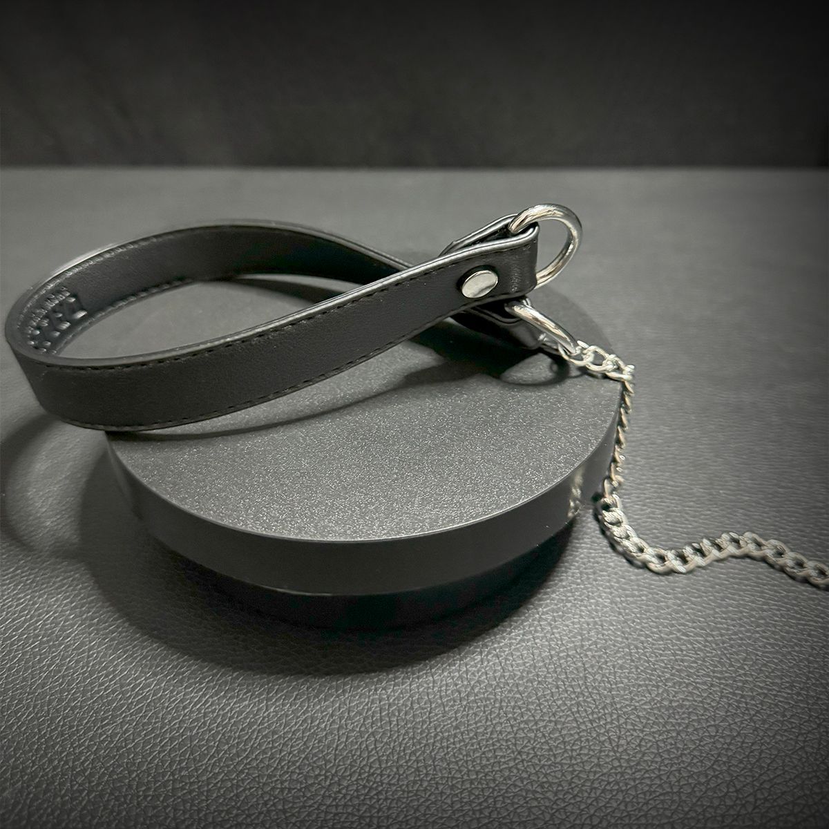 Daluse [Tiffany] Single Titanium Steel Chain Versatile Fashion Choker