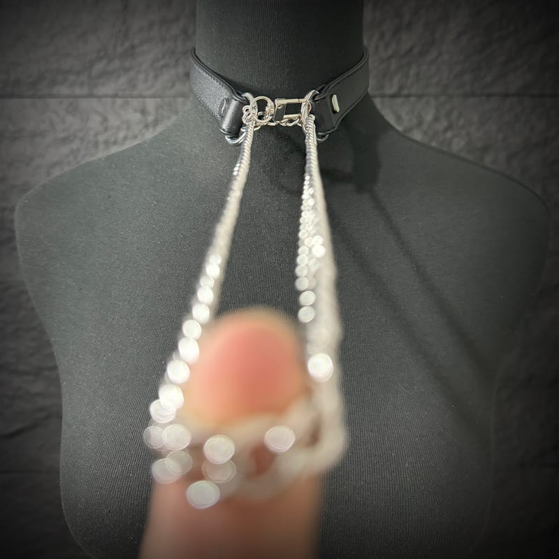 Daluse [Tiffany] Single Titanium Steel Chain Versatile Fashion Choker
