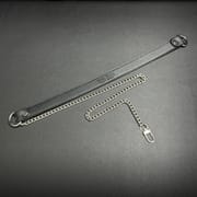 Daluse [Tiffany] Single Titanium Steel Chain Versatile Fashion Choker