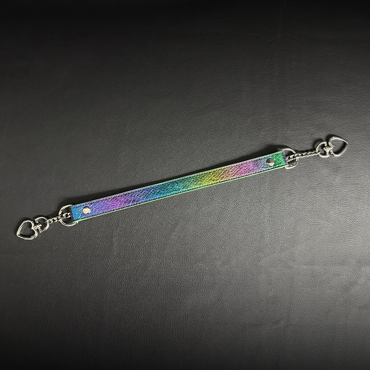 Daluse [Forest] Double Heart Shaped Buckle Titanium Steel Chain Colorful Leather Choker