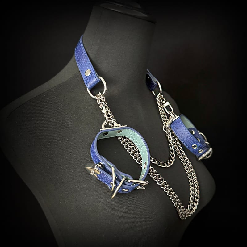 Daluse [Zora] Blue Snake Leather Double Titanium Steel Chain Choker And Blue Snake Leather Silver Chain Adjustable Cuff Combination
