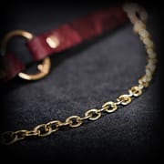Daluse [Arlo] Gold Ring Chain Red Snake Pattern Leather Choker