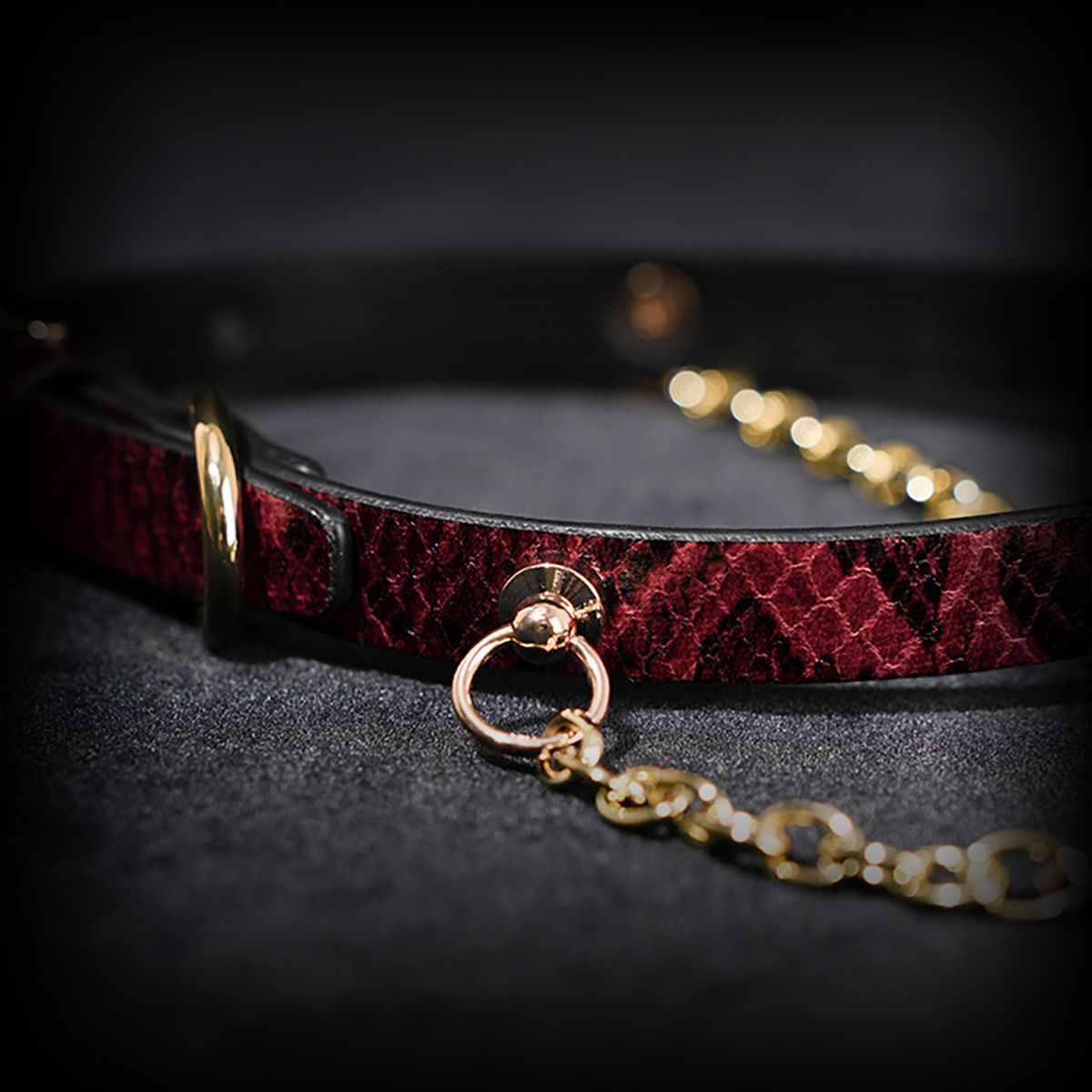 Daluse [Arlo] Gold Ring Chain Red Snake Pattern Leather Choker
