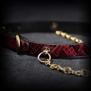 Daluse [Arlo] Gold Ring Chain Red Snake Pattern Leather Choker