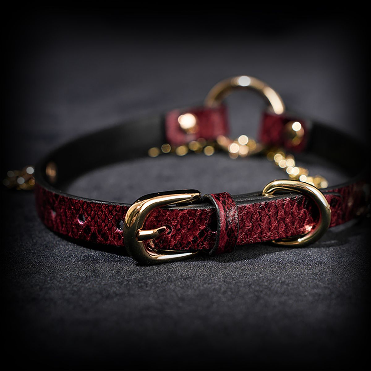 Daluse [Arlo] Gold Ring Chain Red Snake Pattern Leather Choker