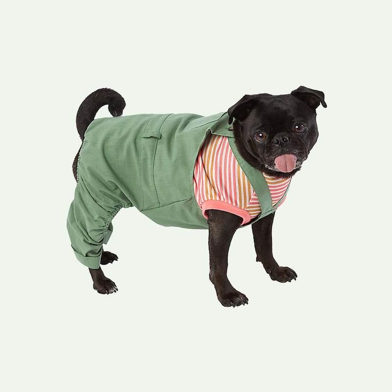 Green Dog Overalls