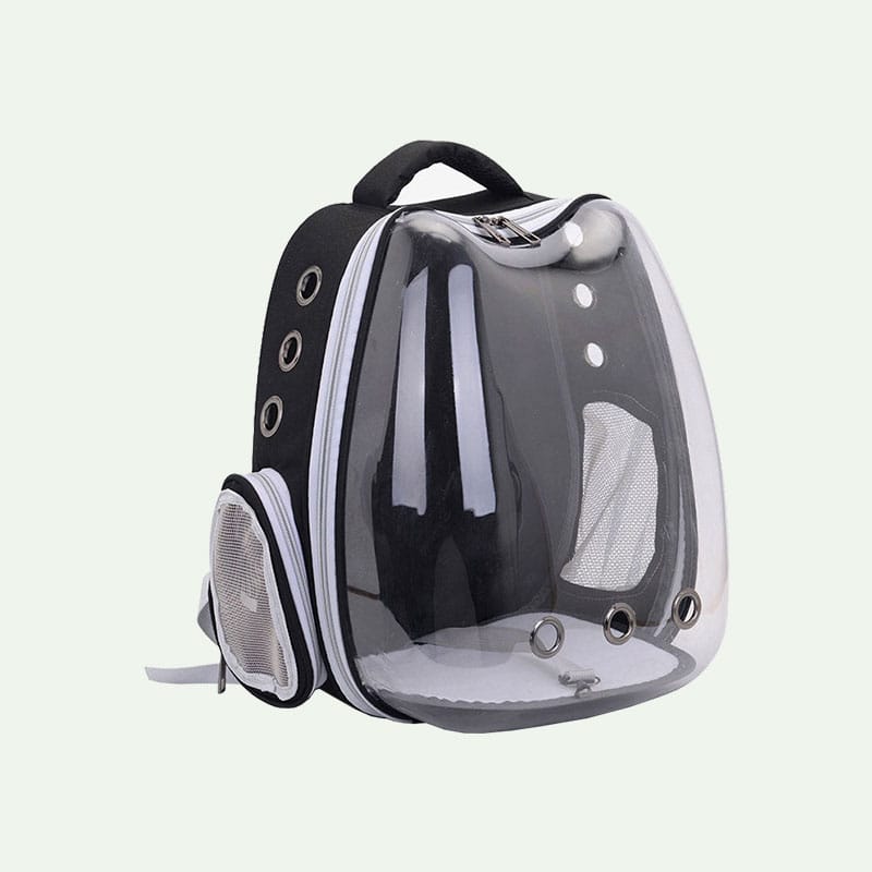 Transparent Cat-Shaped Backpack