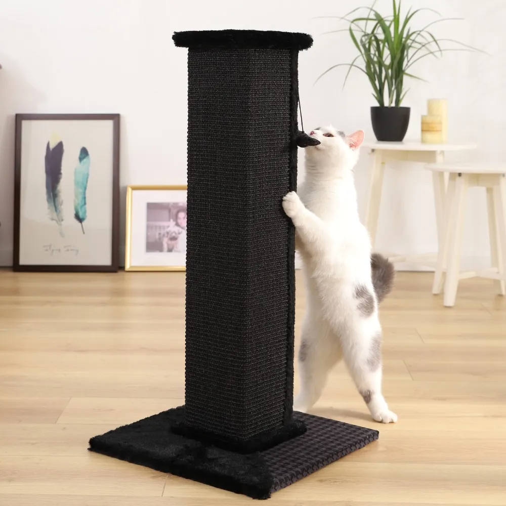 H82cm Pet Cat Tree Scratching Post for Indoor Plush Top Perch Stable Durable with Ball Black Natural Sisal Protecting Furniture