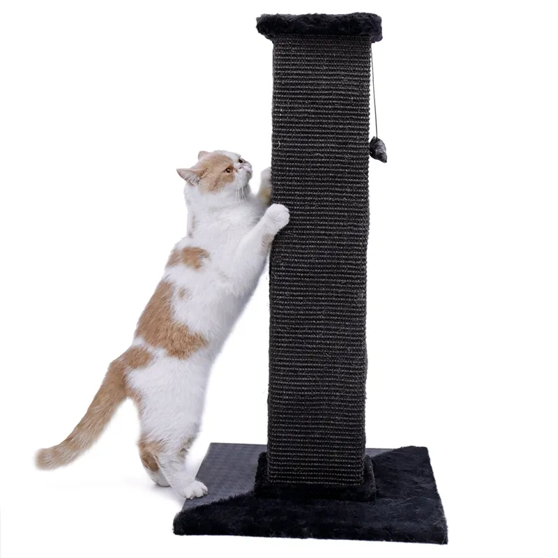 H82cm Pet Cat Tree Scratching Post for Indoor Plush Top Perch Stable Durable with Ball Black Natural Sisal Protecting Furniture