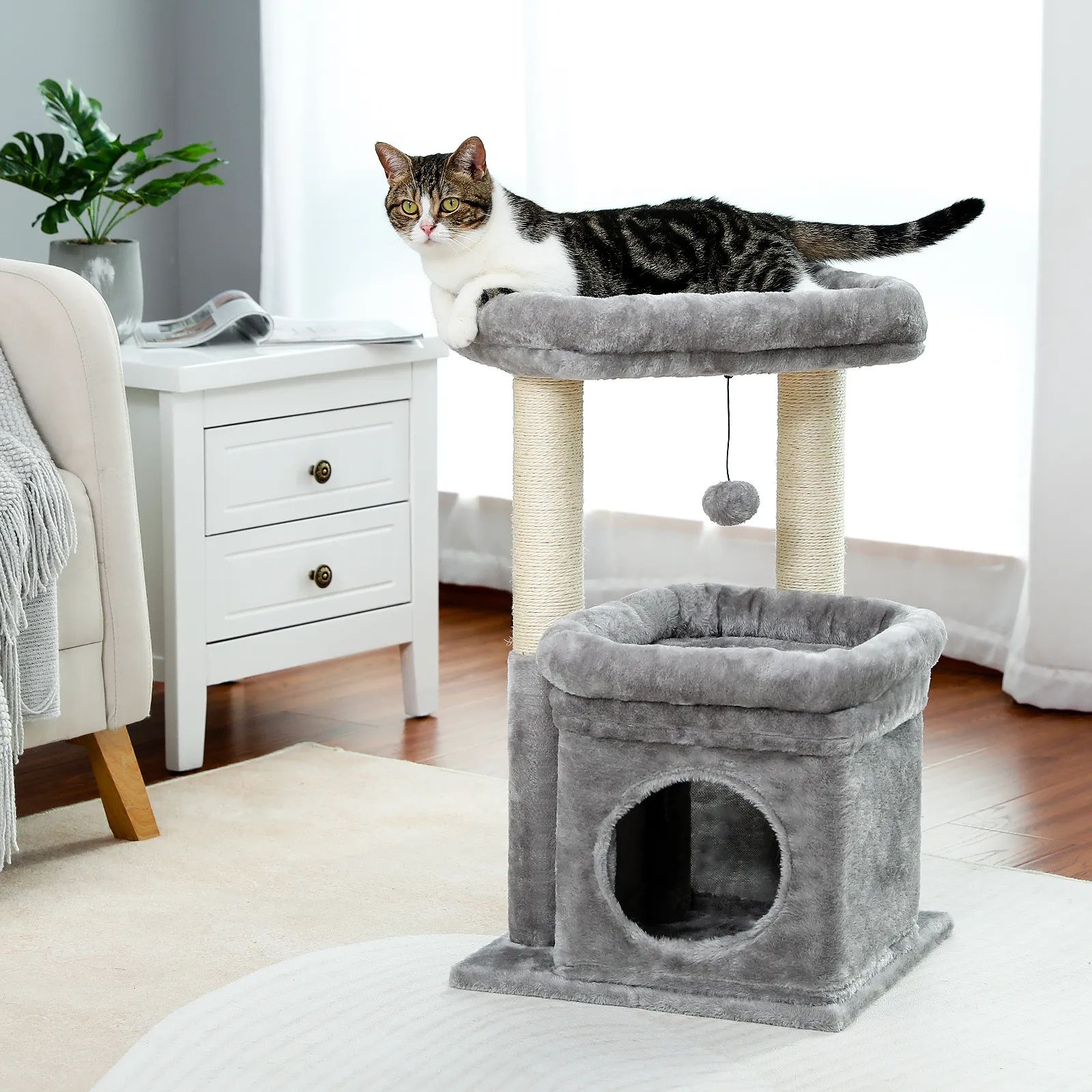 H68cm Small Cat Tree Condo for Indoor Hanging Ball Tower Large Top Perch Warm Cozy Home Sisal Scratching Post rascadores de gato