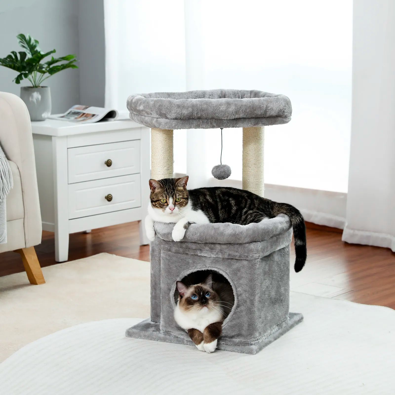H68cm Small Cat Tree Condo for Indoor Hanging Ball Tower Large Top Perch Warm Cozy Home Sisal Scratching Post rascadores de gato
