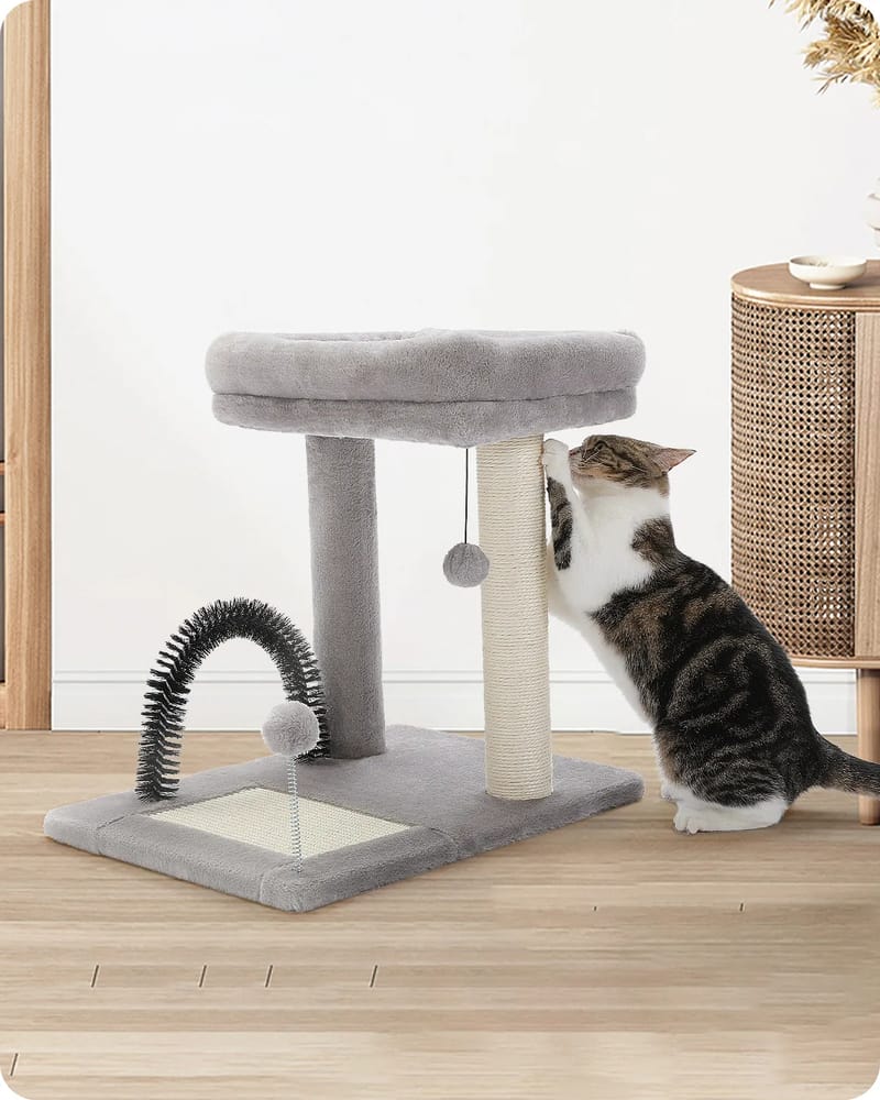 H50CM Small Cat Tree with Natural Sisal-Covered Scratching Post for Indoor Large Perch Self Grooming Brush Scratching Board ball