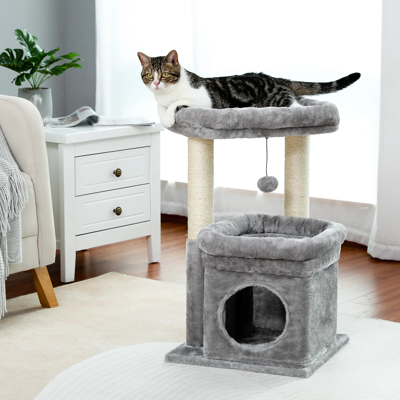 H68cm Small Cat Tree Condo for Indoor Hanging Ball Tower Large Top Perch Warm Cozy Home Sisal Scratching Post rascadores de gato