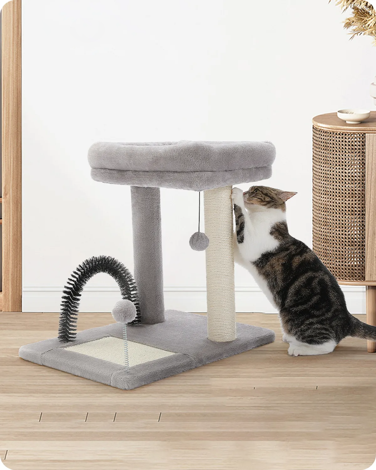 H50CM Small Cat Tree with Natural Sisal-Covered Scratching Post for Indoor Large Perch Self Grooming Brush Scratching Board ball
