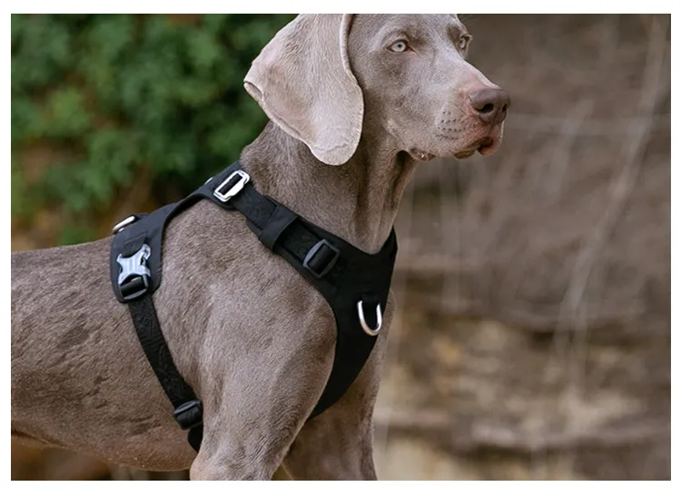 Truelove Dog Light Weight Harness Adjustable Outdoor Pet Medium Small Large Adjustable Outdoor Tactical Military Service TLH6281