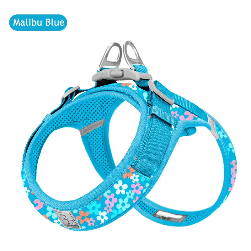 Malibu Blue