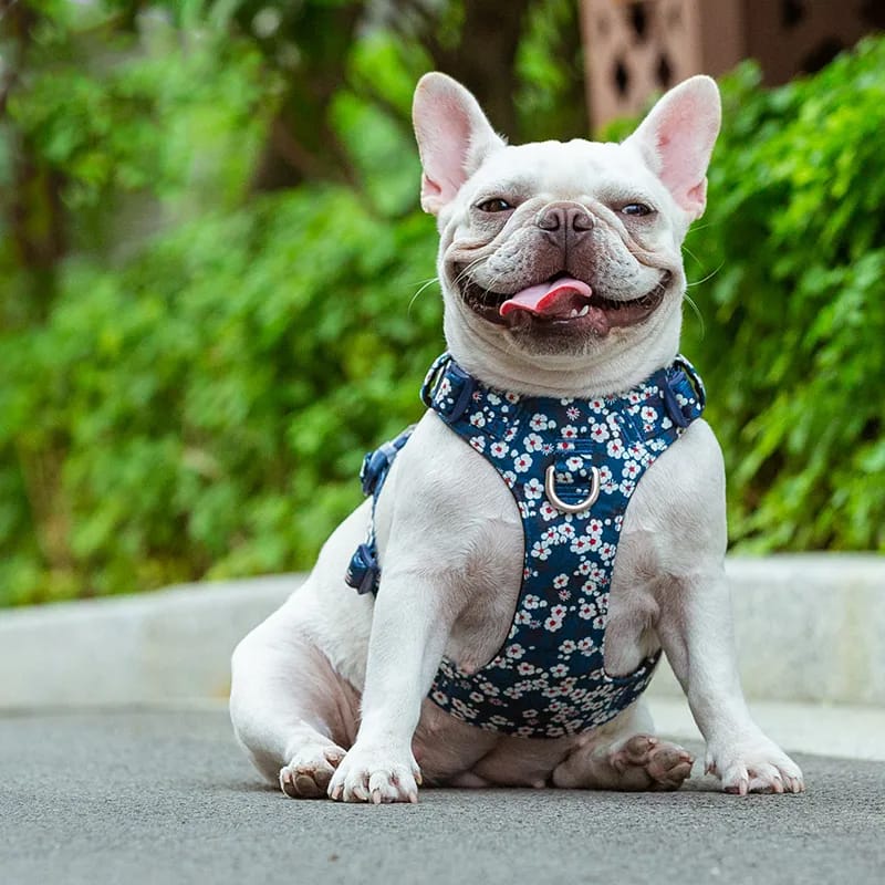 Truelove Dog Harness New Fashion Design Harness for Small Large Dog Cotton Floral Multi Sizes Adjustable Reflective TLH6283
