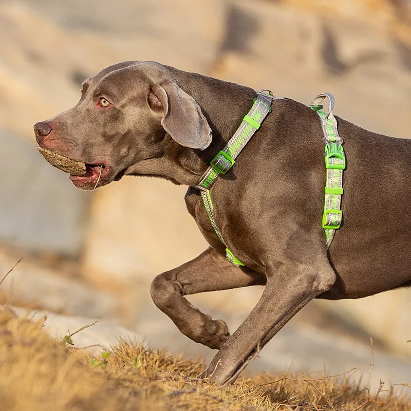Truelove Pet Harness No Pull Tactical Service Pet Lift Breathable Mesh Reflective Sport Padded Dog Harness Vest TLH6172