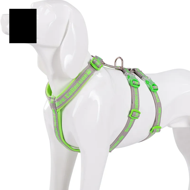 Truelove Double H Harness Neoprene Padding Durable Strong Reflective Gow in the Dark Aluminum Alloy Fitting Light Weight TLH6571