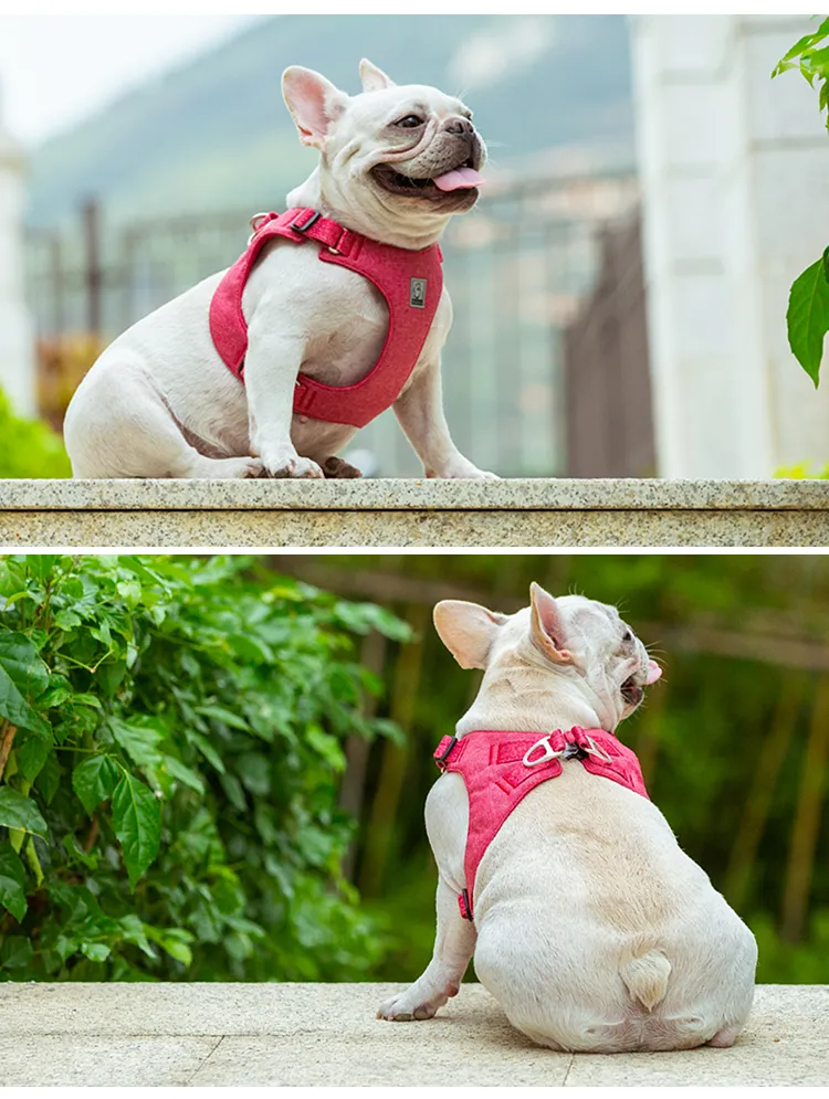 Truelove Recycled Pet Harness High Quality Adjustable Eco-friendly Recycled Material No Pull Breathable Soft Reflective TLH3012