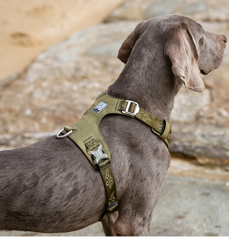 Truelove Dog Light Weight Harness Adjustable Outdoor Pet Medium Small Large Adjustable Outdoor Tactical Military Service TLH6281