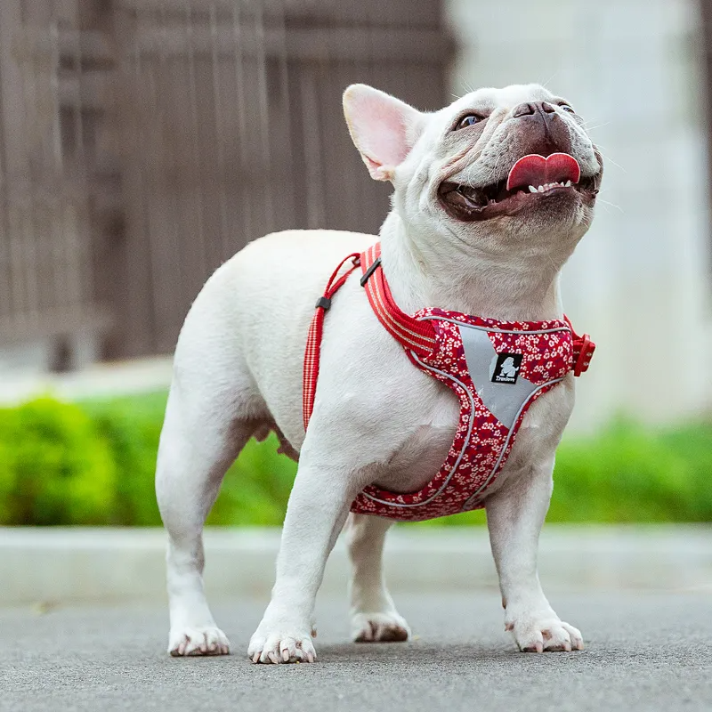 Truelove Floral Doggy Harness Soft Padded Cotton Pets Vest Dog Harness Adjustable Snappy Easy Fit Small JacketsTravel TLH5952