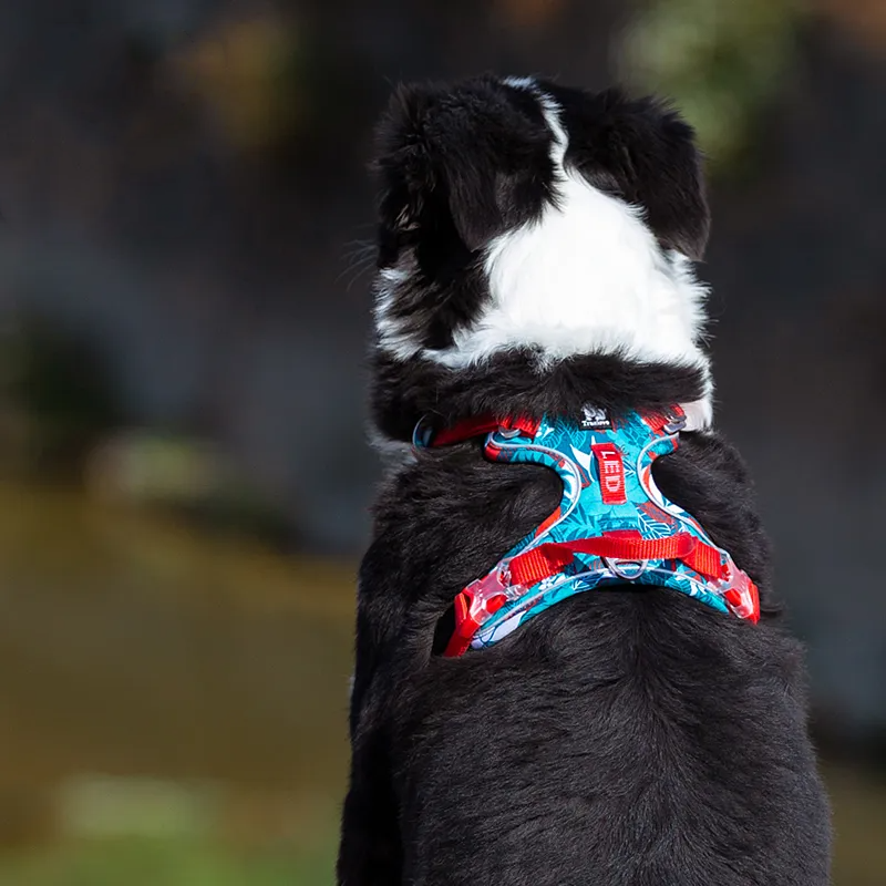 Truelove Pet Explosion-proof Dog Harness Camouflage Reflective Nylon Special Edition and Upgrade Version Easy to Adjust TLH5653