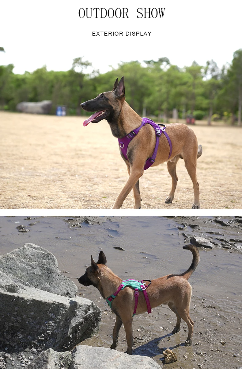 TRUELOVE Escape-proof Harness with Zippered Pocket Tactical Dog Vest Harness and Easy Control Training Military Backpack YH1811