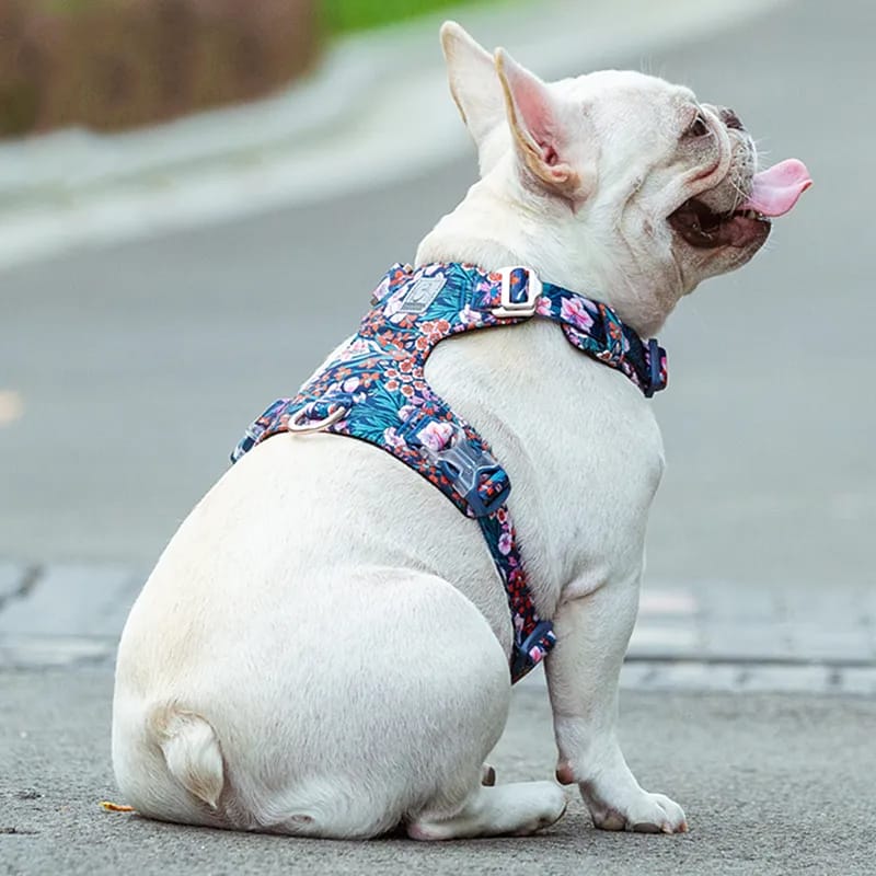 Truelove Dog Harness New Fashion Design Harness for Small Large Dog Cotton Floral Multi Sizes Adjustable Reflective TLH6283