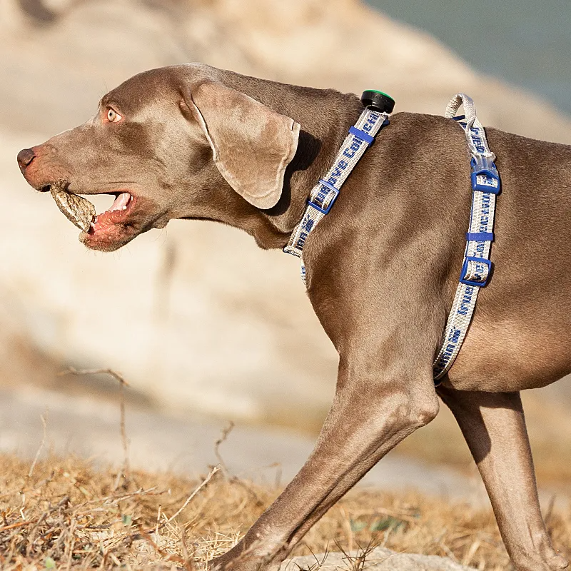 Truelove Pet Harness No Pull Tactical Service Pet Lift Breathable Mesh Reflective Sport Padded Dog Harness Vest TLH6172