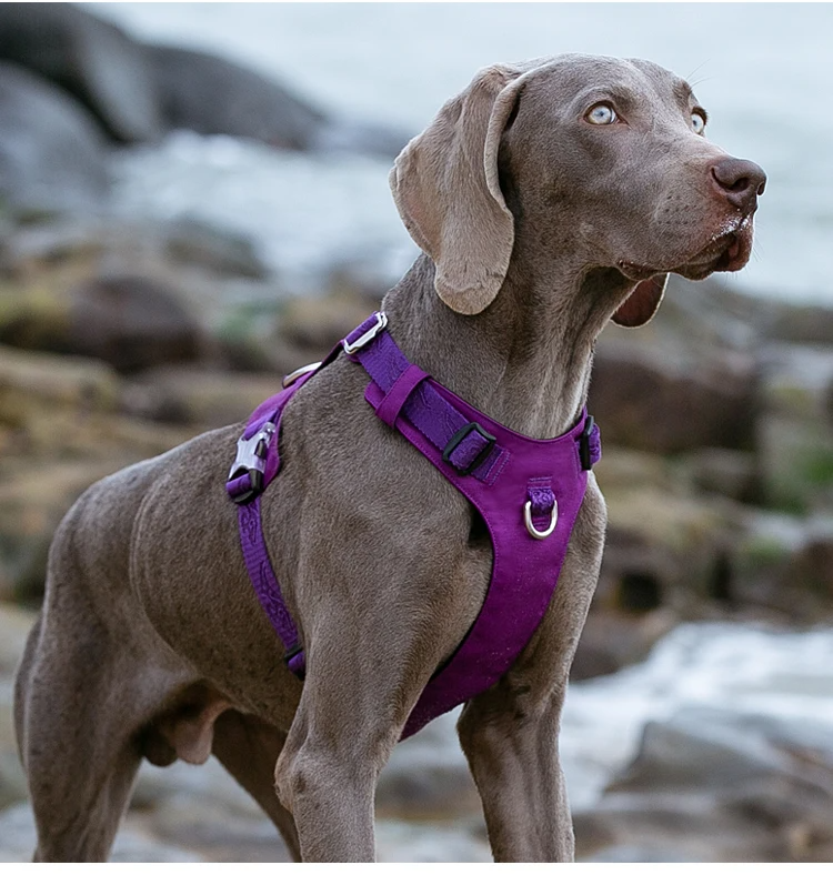 Truelove Dog Light Weight Harness Adjustable Outdoor Pet Medium Small Large Adjustable Outdoor Tactical Military Service TLH6281