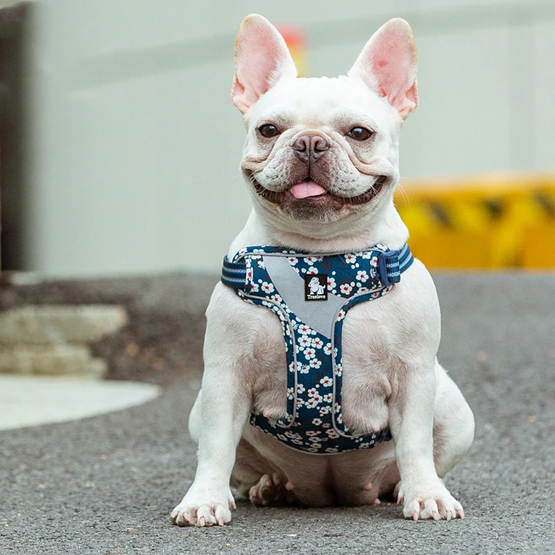 Truelove Floral Doggy Harness Soft Padded Cotton Pets Vest Dog Harness Adjustable Snappy Easy Fit Small JacketsTravel TLH5952