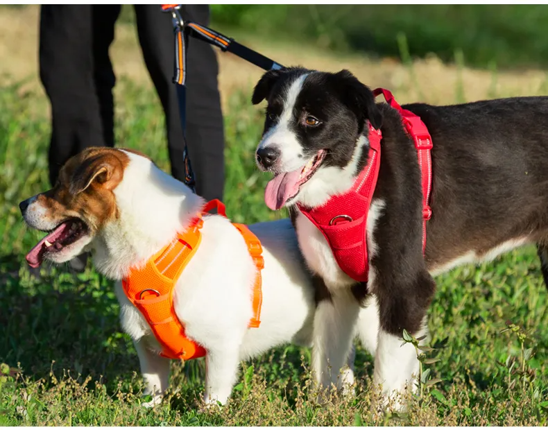 TRUELOVE Pet Harness Nylon Reflective Comfortable and Breathable Explosion-proof Small Medium Large Outdoor Camping HP5652
