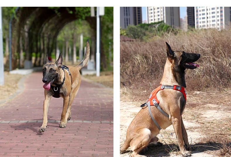 TRUELOVE Escape-proof Harness with Zippered Pocket Tactical Dog Vest Harness and Easy Control Training Military Backpack YH1811