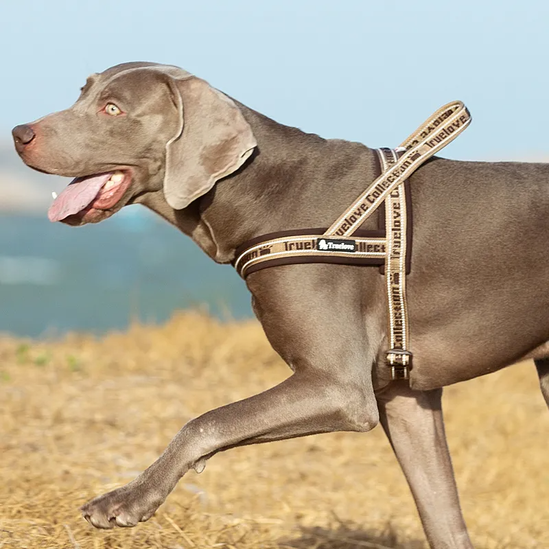 Truelove Pet Harness Neoprene Padded No Pull Dog Harness Pet Supplies TLH58121