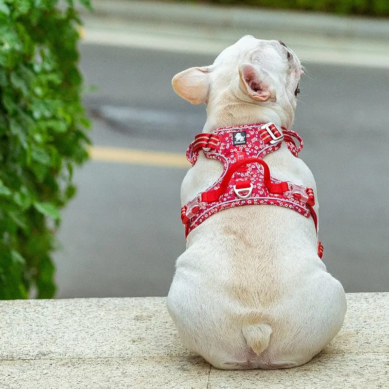 Truelove Pet Harness Floral No Pull Cotton Fabric Breathable and Reflective Soft Cats Dogs Small Medium Walking Running TLH5655